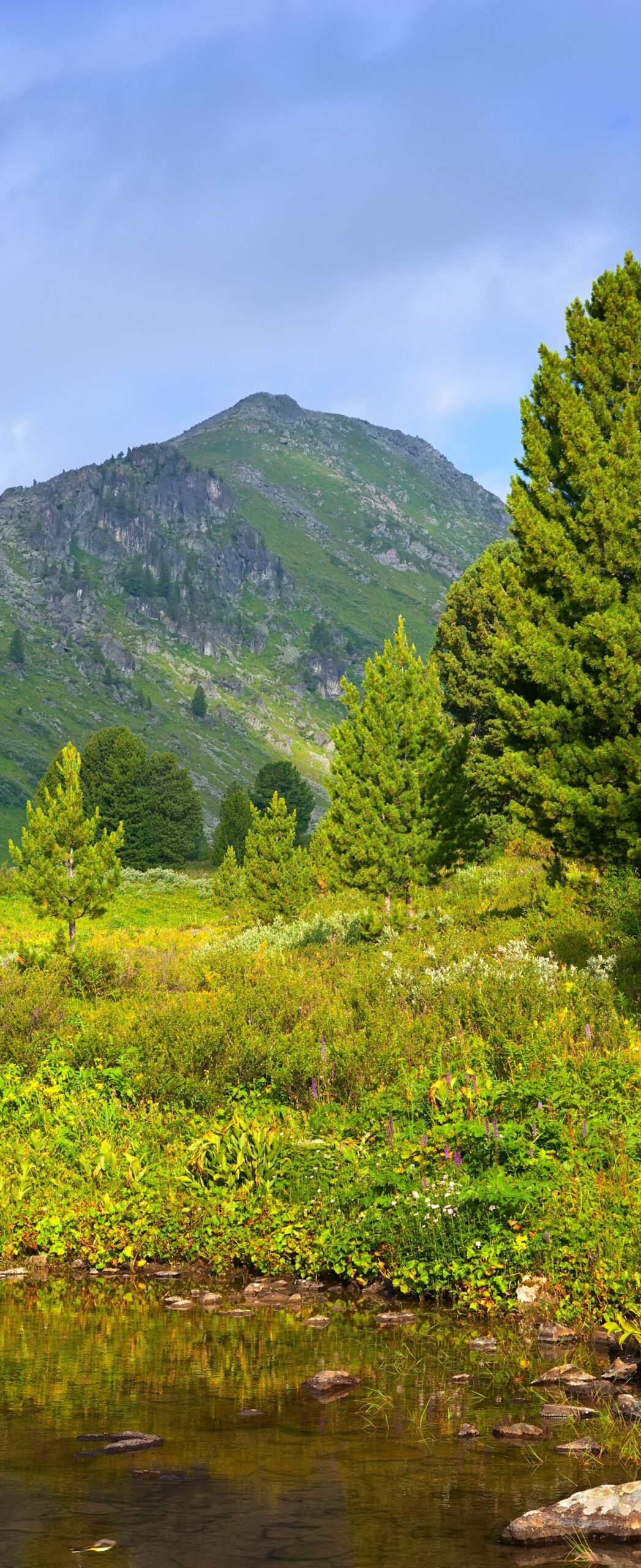 vertical landscape with mountains lake
